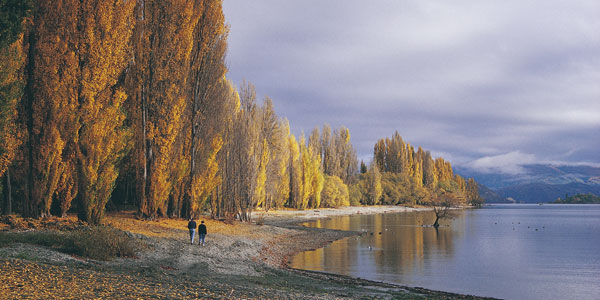 wanaka-600 wanaka-600